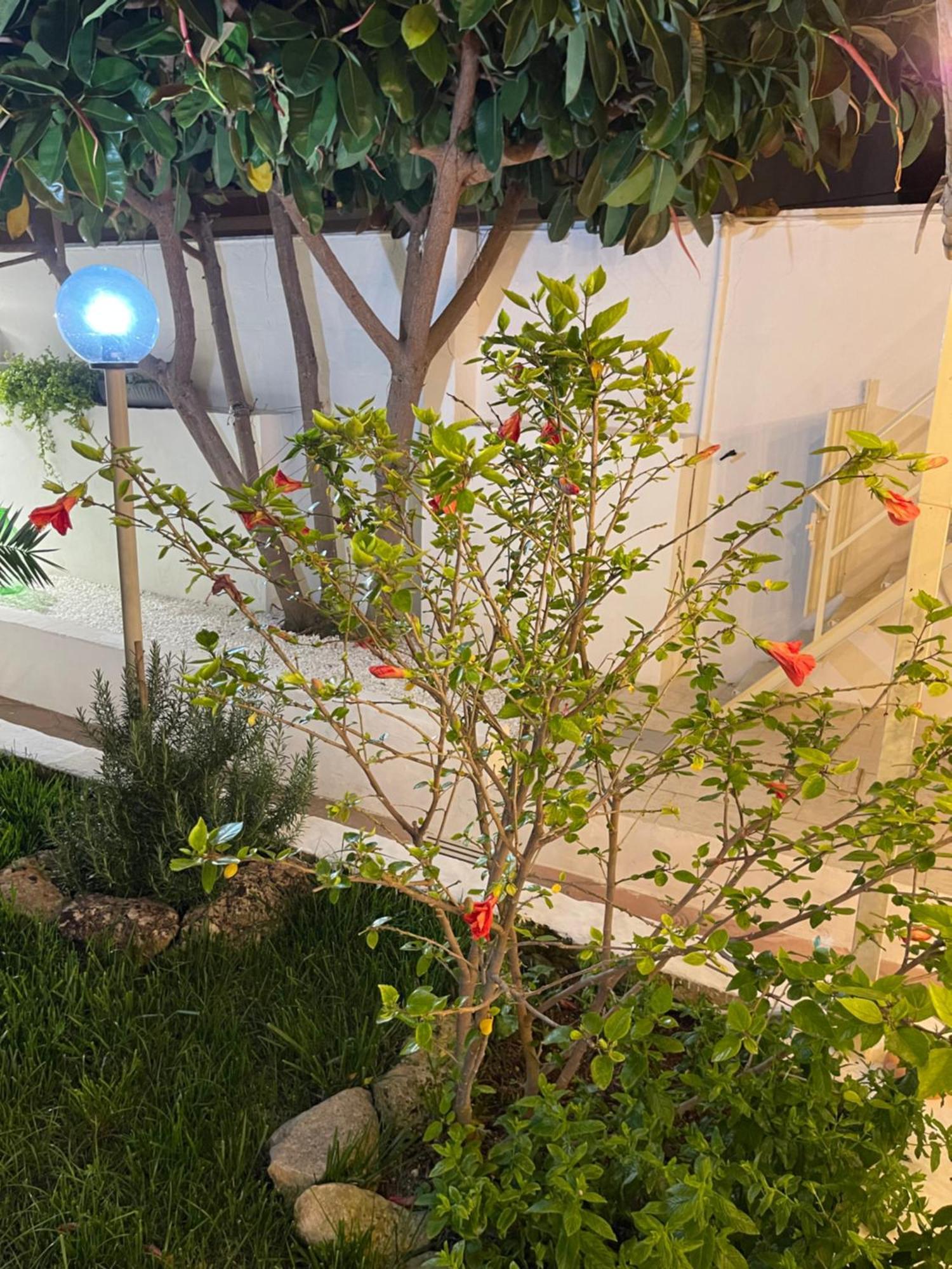 הוילה סן פייטרו אין בוואניה Perla Dei Messapi מראה חיצוני תמונה